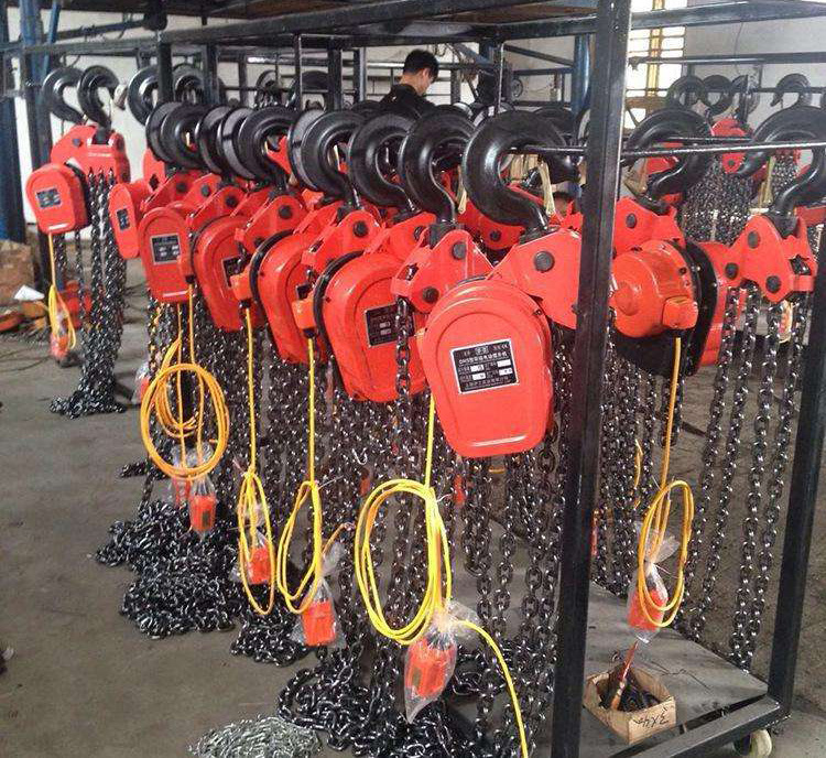 同步式环链电动葫芦